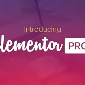 Elementor Pro WordPress Plugin free download